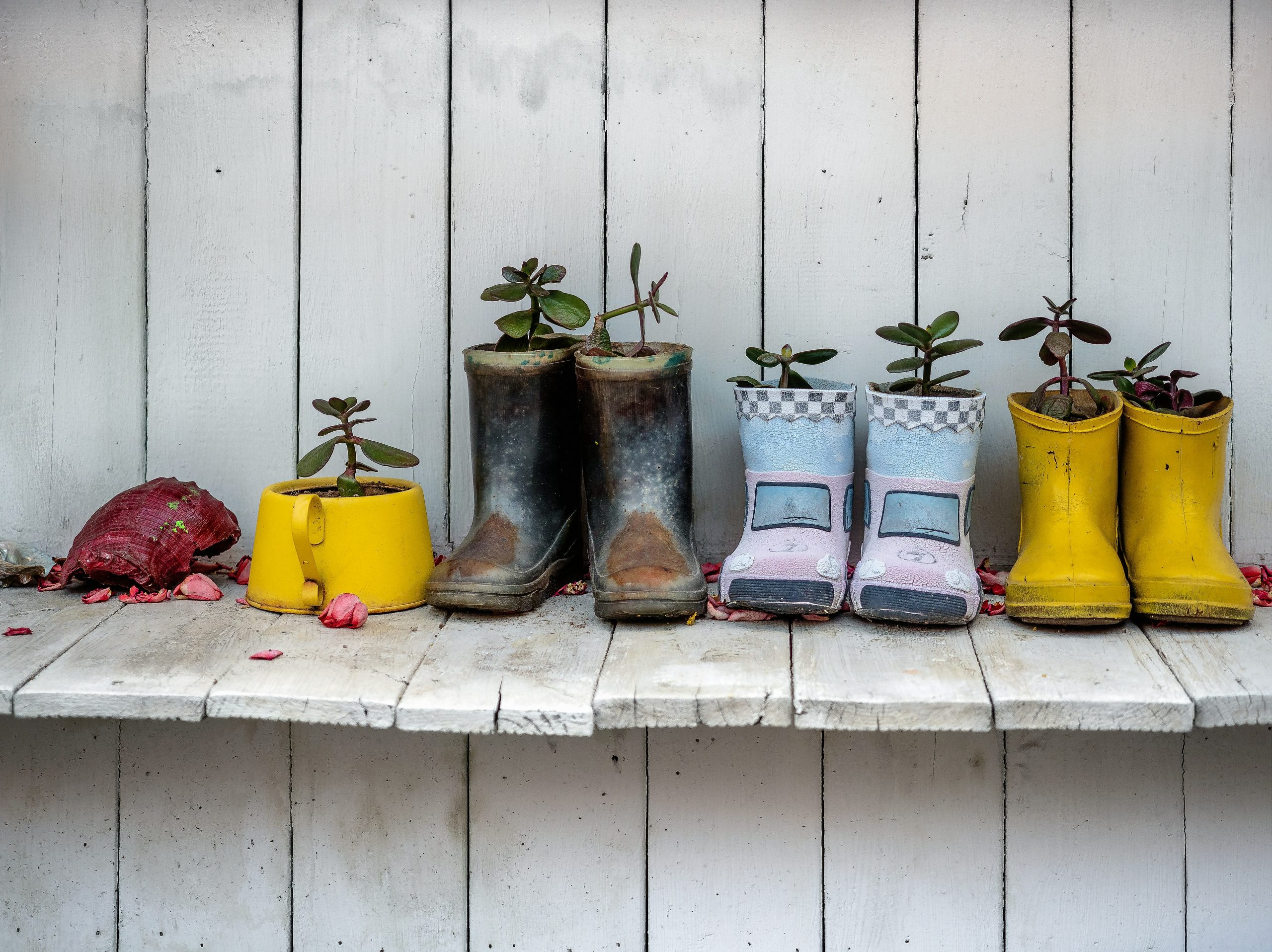flowers_in_boots